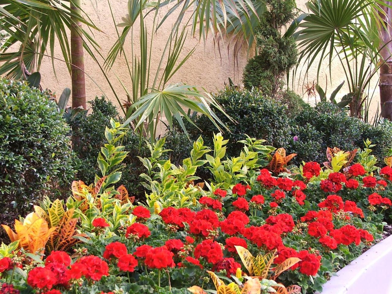 Hotel Casa Real Tehuacán מראה חיצוני תמונה